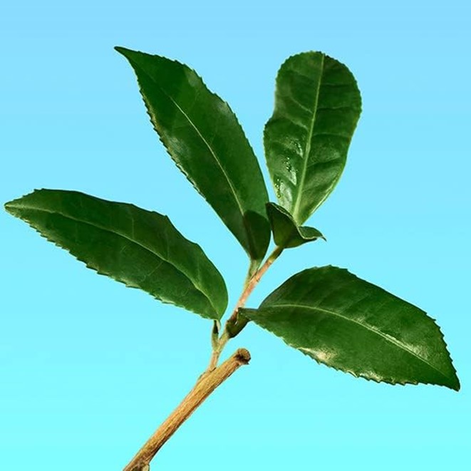 CALVIN KLEIN CK One Deodorant Stick 75g - Image 2